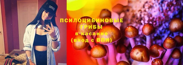 сатива Верея