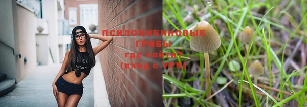 таблы Верхний Тагил