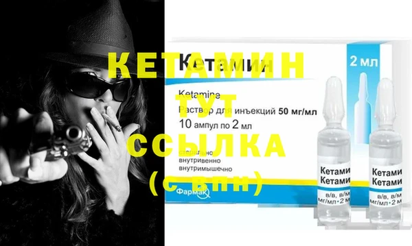 сатива Верея