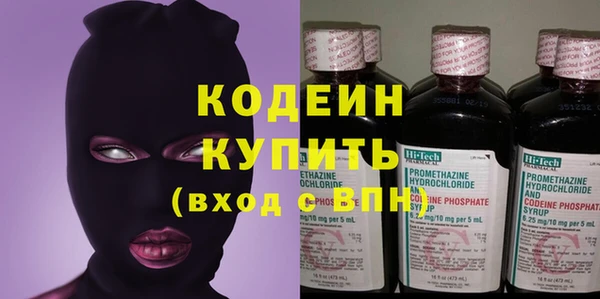 сатива Верея