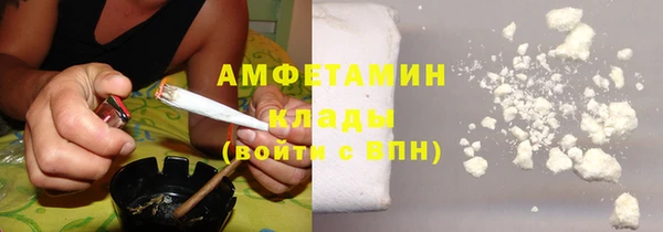 сатива Верея