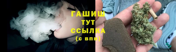 сатива Верея