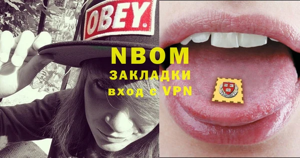 сатива Верея