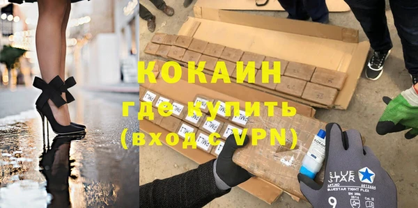 сатива Верея