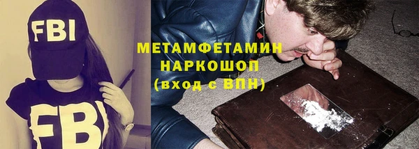 сатива Верея