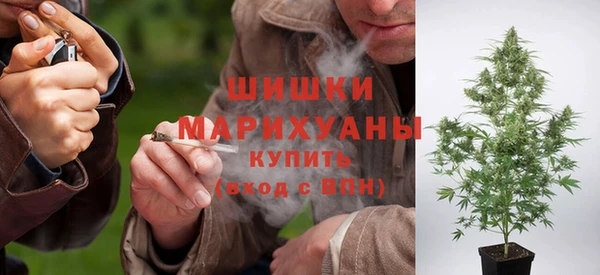 сатива Верея